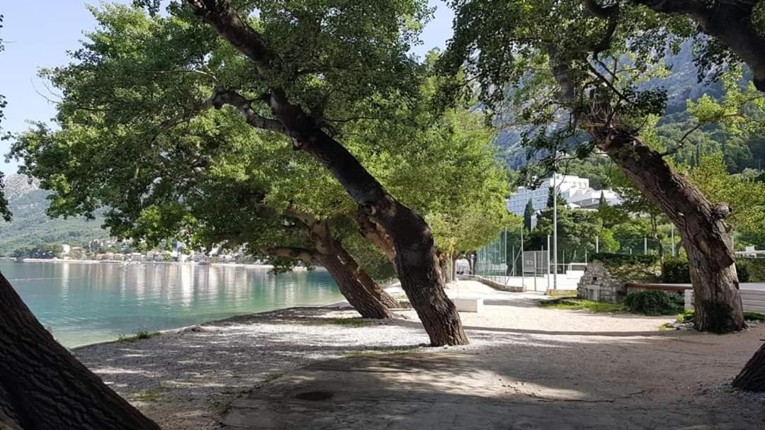 Apartmants Lungo Mare